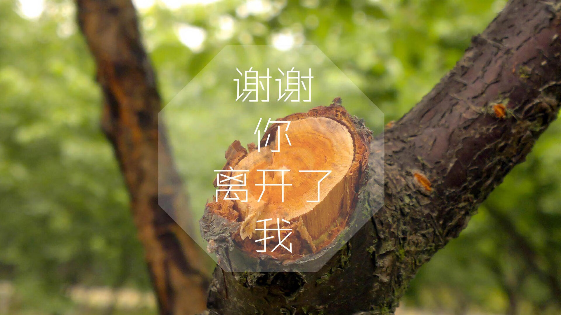 爱游戏体育APP下载-《CS_GO激战欧洲锦标赛，直逼世界最高水平》，csgo欧洲rmr比赛2021