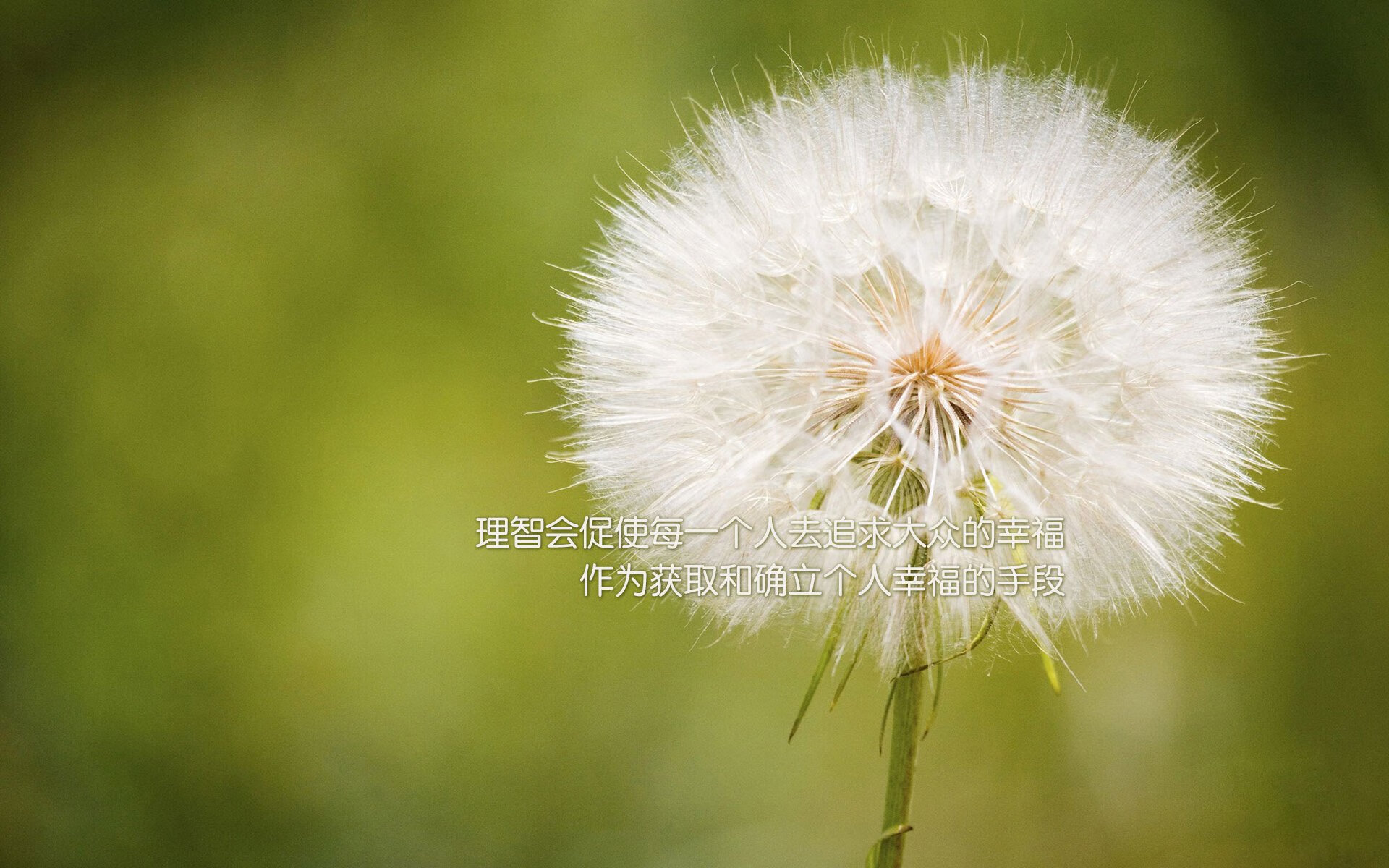 爱游戏-赛季巅峰：蒂伊在对阵巨人队时，拿下40分+12篮板，全面开花！，a+蒂伊