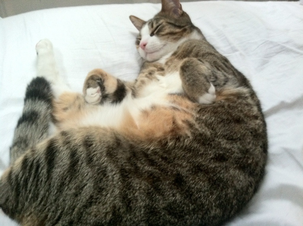 NBA球队防守数据统计方法，nba防守数据怎么看