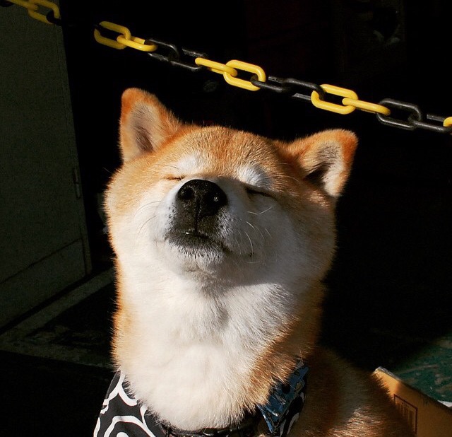 国足快攻下球员站位结构演变,国足最快进球