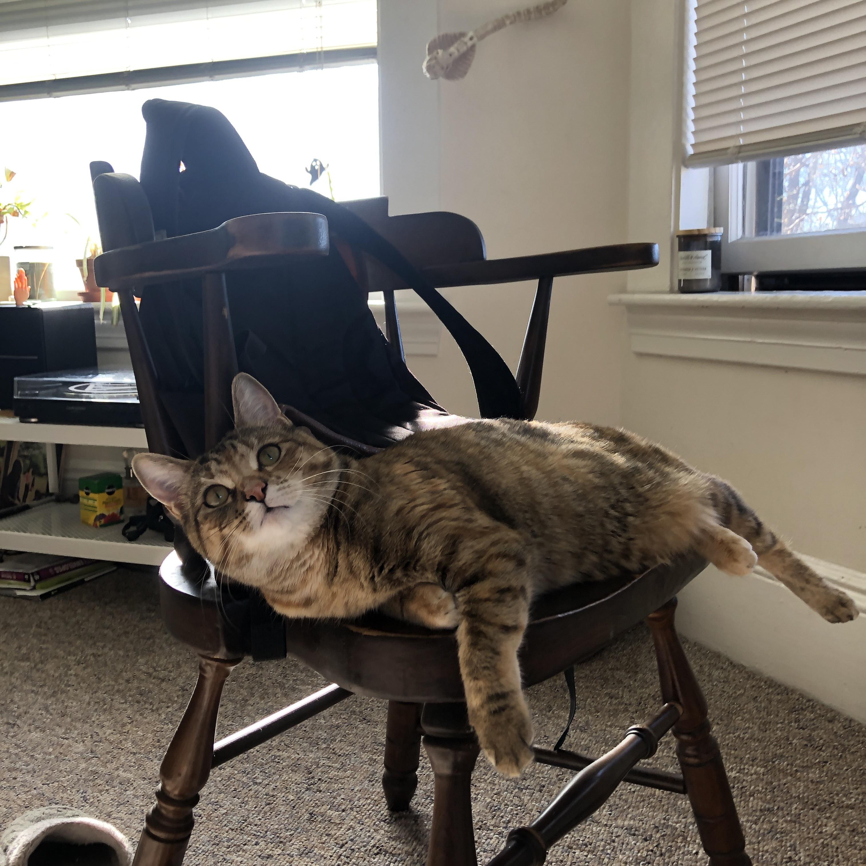 篮球运动员专项体能训练智能监控系统开发，篮球运动监测