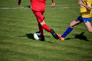 AYX体育官网-篮球训练计划科学制定及执行效果跟踪研究，简述篮球训练计划制定步骤