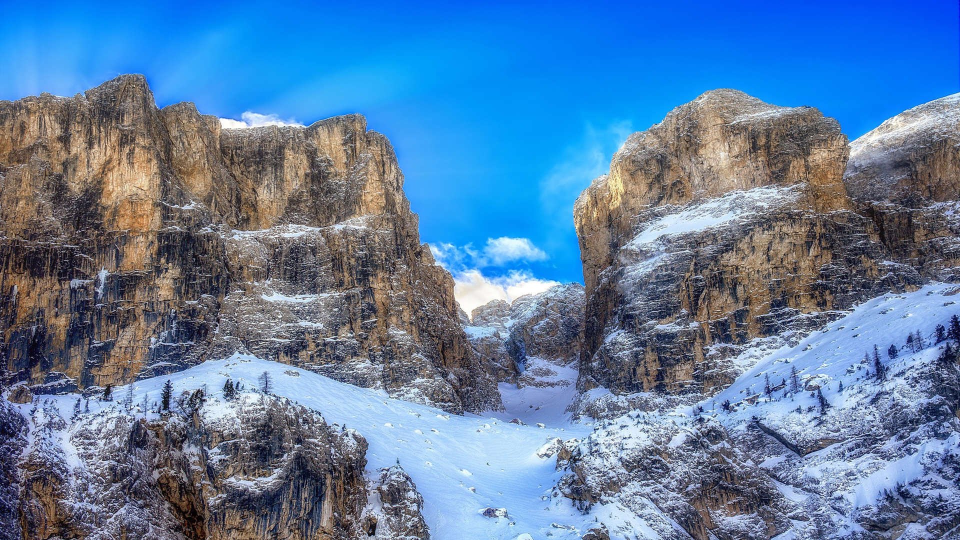 运动员训练计划科学调整,运动员训练计划制定