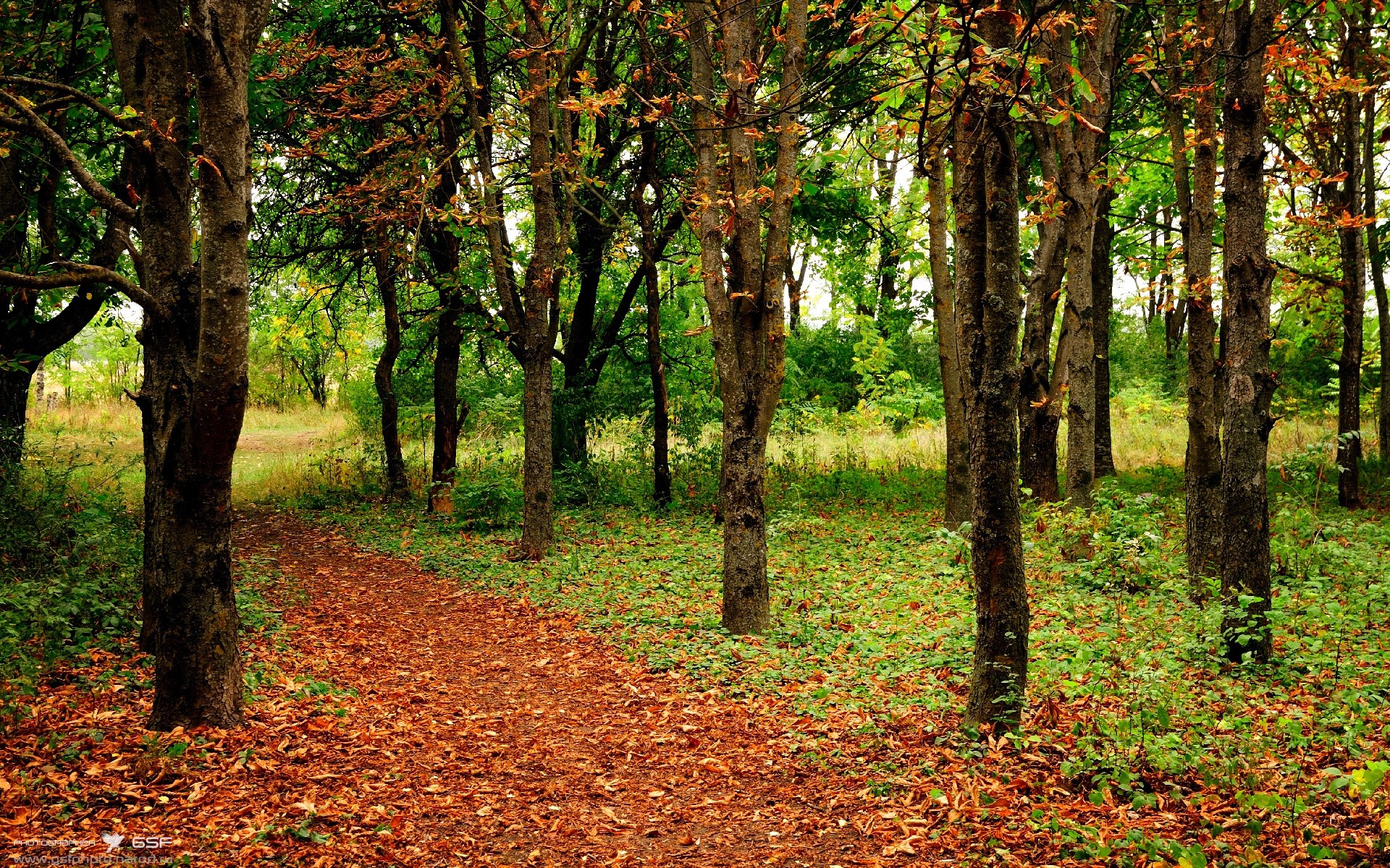 爱游戏中国官方登录入口网站-外援政策调整影响联赛竞争平衡，外援项目