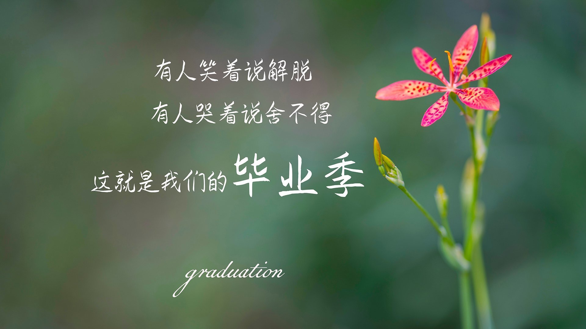 中学篮球加强基本功训练提升技术水平，中学篮球训练中应注意哪些问题