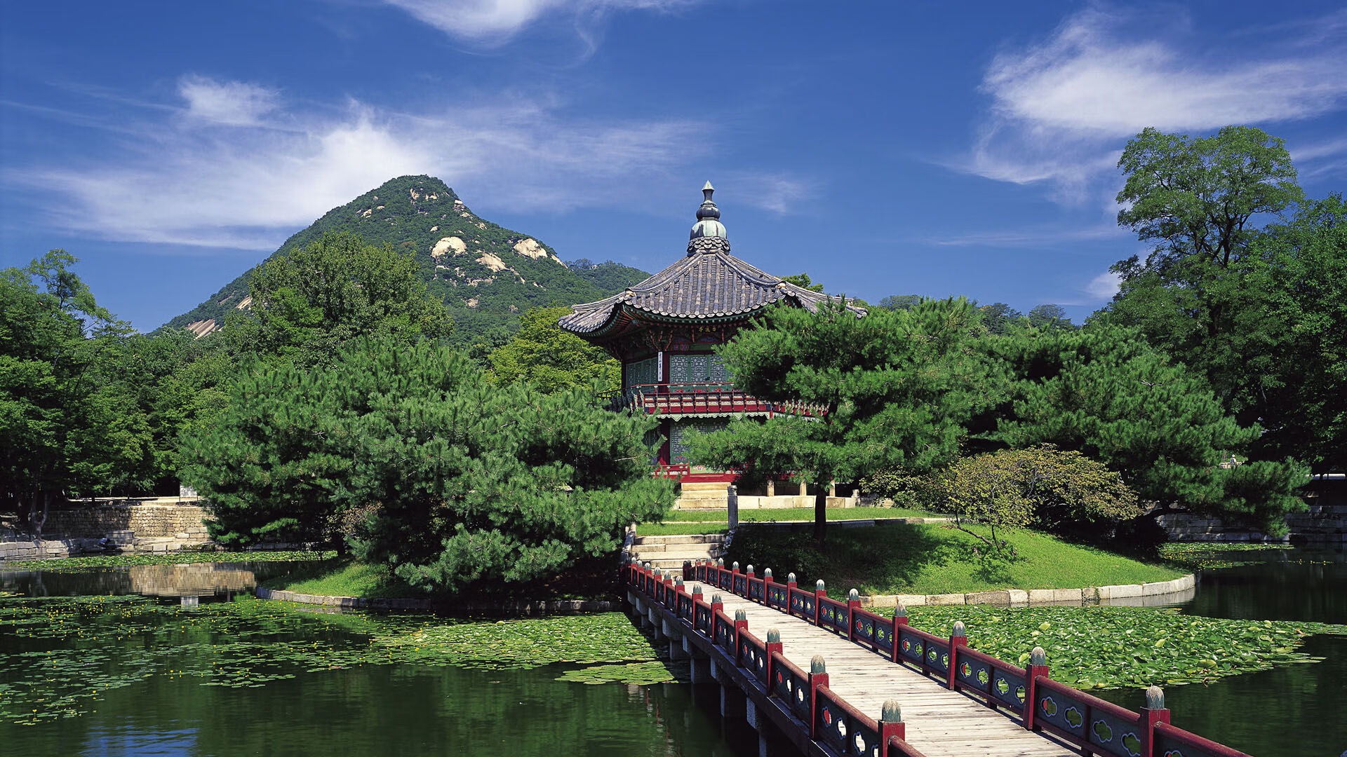 乌拉圭队整装待发，备战未来国际大赛