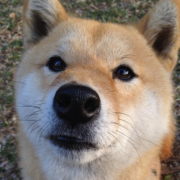 巴雷特：以出色的赛场表现和稳定发挥，巩固了自己在全黑队的核心地位