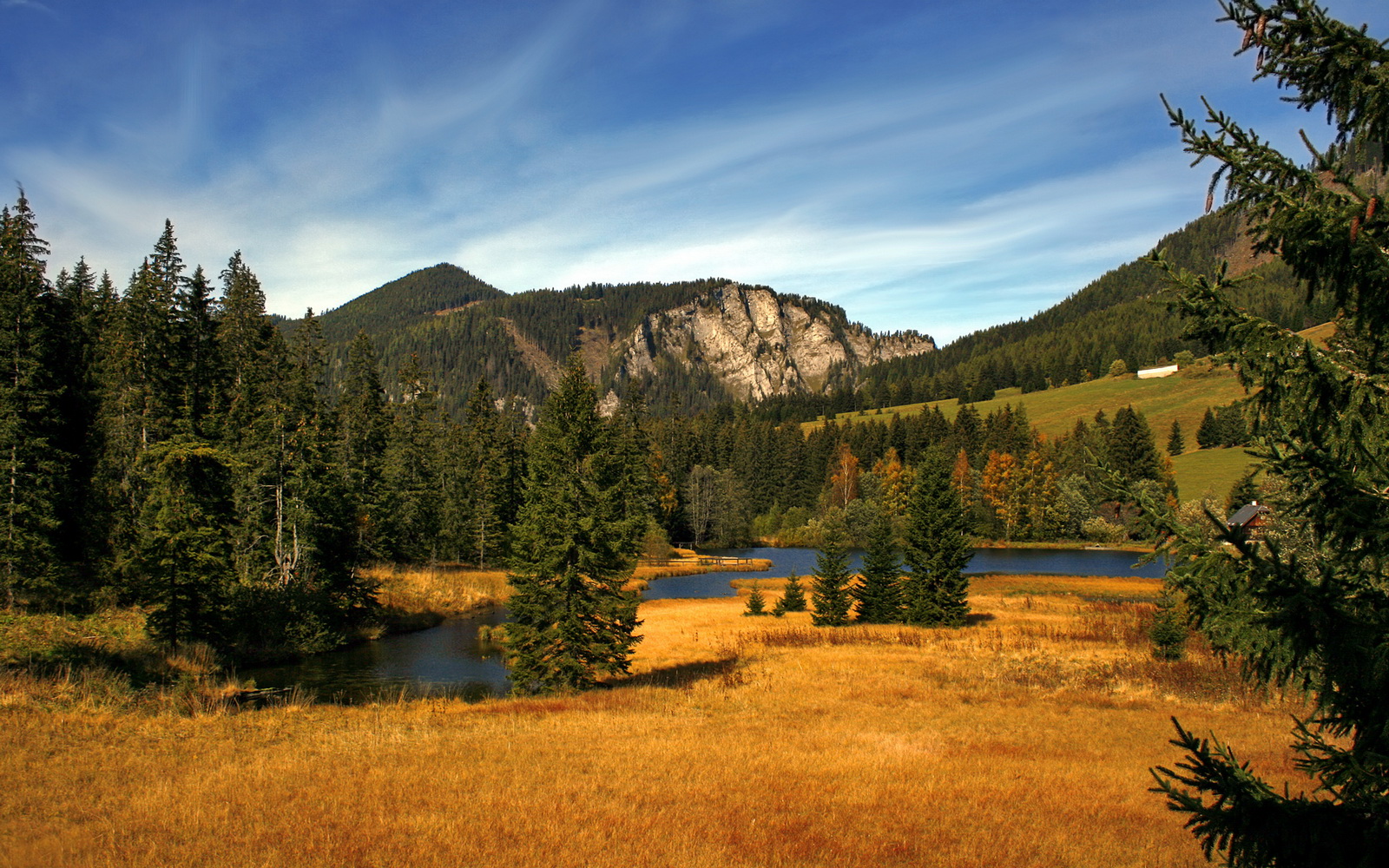 法甲新秀崛起：未来之星闪耀未来！，法甲新赛季宣传片