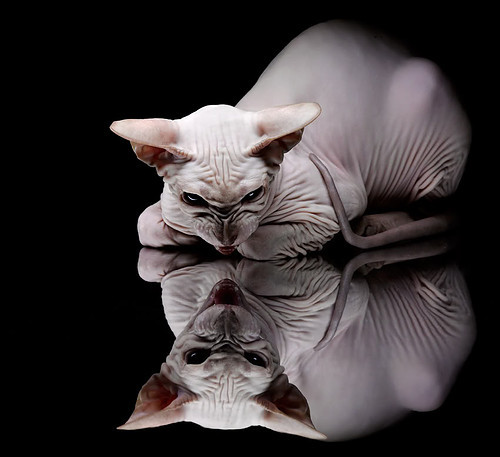 维尔·冯·威克：利用灵活跑位和高爆发力，南非队进攻更具威胁，温·维尔冯