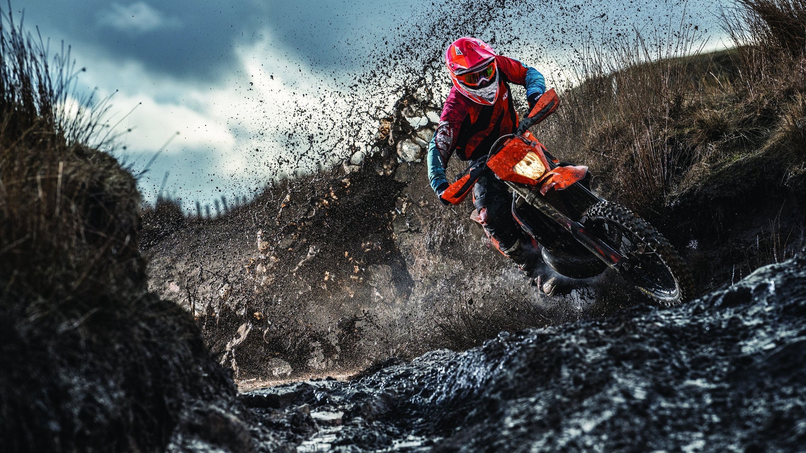 _生态园赛：绿色生态环境中的独特人士运动_，什么是绿色生态园